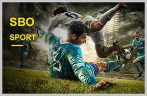 FILL777 official website for live sports betting matches